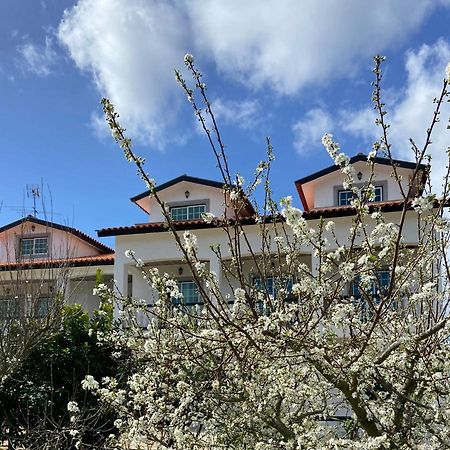 Tábua Majo Alojamento Local B&B 외부 사진
