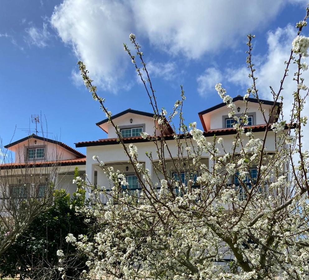 Tábua Majo Alojamento Local B&B 외부 사진